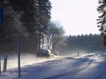 Busreisen